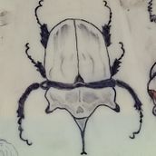 Mi proyecto del curso: Tatuaje para principiantes. Tattoo Design project by antonianunezalvarez0 - 06.19.2024
