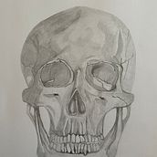 My project for course: Intro to Anatomy Drawing with Graphite Pencil. Fine Arts, Pencil Drawing, Drawing, Realistic Drawing, and Figure Drawing project by Charlotte Booth - 06.19.2024