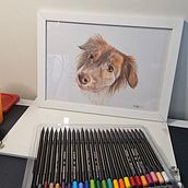 Meu projeto do curso: Retratos de pets a lápis de cor. Ilustração tradicional e Ilustração naturalista projeto de vaarruda_jornalista - 11.06.2024