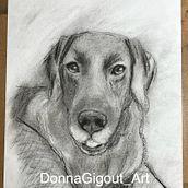 My project for course: Animal Illustration with Charcoal and Ink. Fine Arts, Drawing, Ink Illustration, and Naturalistic Illustration project by Donna G - 06.20.2024