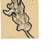 Optimizing. Traditional illustration project by Priscilla Colaci - 06.21.2024
