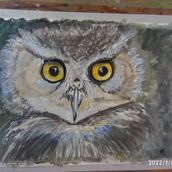 My Art Journey so Far. Un proyecto de Pintura de Jane Darke - 21.06.2024