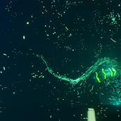 Fantasia oscura. Un proyecto de 3D y Concept Art de Anibal Angulo Ortiz - 13.07.2023