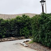 Casa de campo. Photograph, Mobile Photograph, Instagram, Instagram Photograph, and Photographic Composition project by lichibonheur - 06.23.2024