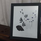 Quadro de flores prensadas. Un progetto di Design floreale e vegetale di Priscila Camargo Reis - 23.06.2024