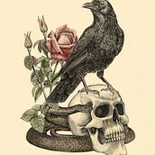 My project for course: Naturalist Illustration with Ballpoint Pen . Un projet de Illustration traditionnelle, Dessin, Dessin réaliste et Illustration naturaliste de Irina Cara Carina - 23.06.2024