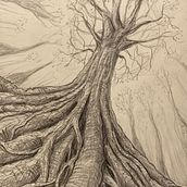 Opwaartse kronkel. Un progetto di Disegno a matita di aardkronkel - 03.01.2024