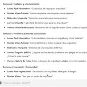 Mi proyecto del curso: Usar Chat GPT para trabajar. Creative Consulting, Design Management, Management, Productivit, Business, Artificial Intelligence, and ChatGPT project by Abigail Adle - 06.25.2024