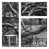 A través de otros ojos. . Photograph, and Video project by Daniel Romero - 06.25.2024
