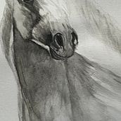 My project for course: Expressive Animal Portraits in Watercolor. Pintura em aquarela projeto de kateh4636 - 26.06.2024