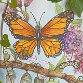 Mon projet du cours : Aquarelle botanique : peindre le monde naturel. Un proyecto de Bellas Artes, Pintura, Pintura a la acuarela, Ilustración botánica e Ilustración naturalista				 de Michelle Guay - 27.06.2024