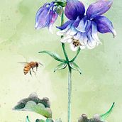 Polinizadores. Projekt z dziedziny Trad, c, jna ilustracja, Projektowanie wnętrz, Zarządzanie portfolio, Malarstwo akr, lowe, Dekoracja wnętrz,  Fotografia plenerowa, R i sunek botaniczn użytkownika Natalia Eggui - 27.06.2024