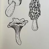 My project for course: Daily Sketching for Creative Inspiration. Traditional illustration, Sketching, Creativit, Drawing, and Sketchbook project by adela_srutova - 06.27.2024