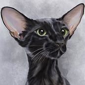 Black oriental cat - digital art . Desenho digital projeto de Dorota Korcz - 25.06.2024