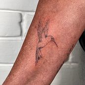 Mi proyecto del curso: Tatuaje fine line: la sutileza de la línea . % Jackie Ruiz tarafından hazırlanan Geleneksel illüstras, on, Çizim, Ve Dövme Tasarımı projesi - 06.27.2024