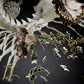 My project for course: 3D jewel-like designs inspired by nature. Un projet de 3D , et Modélisation 3D de wiggi - 27.06.2024