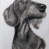 Il mio progetto del corso: Disegno espressivo al carboncino. Een project van  Beeldende kunst,  Tekening,  Portrettekening y Naturalistische illustratie van cirophoto - 29.06.2024