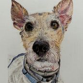 Mi proyecto del curso: Retratos de Mascotas en Lápices de Colores. Ilustração tradicional e Ilustração naturalista projeto de elizamalamujer_1 - 01.07.2024