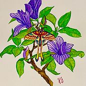 My project for course: Naturalistic Illustration in Watercolor and Gouache. Un progetto di Belle arti, Pittura, Pittura ad acquerello, Illustrazione botanica, Illustrazione naturalistica e Pittura gouache di Pamela Engilis - 02.07.2024