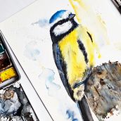 Mój projekt z kursu: Naturalistyczne ilustracje ptaków techniką akwarelową. Traditional illustration, Watercolor Painting, Realistic Drawing, and Naturalistic Illustration project by Marta Wolska - 07.02.2024