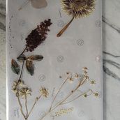 My project for course: Basic Botanical Pressing Techniques. Arts, Crafts, Fine Arts, Collage, DIY, Floral, and Plant Design project by info - 07.03.2024