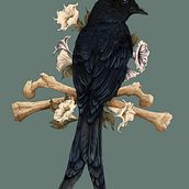 Meu projeto do curso: Ilustração naturalista com pintura digital. Ilustração tradicional, Desenho, Ilustração digital, Desenho realista, Pintura digital e Ilustração naturalista projeto de Sabrina Eliza Rodrigues - 29.06.2024