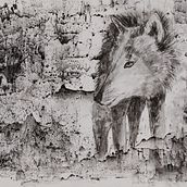 Mijn project van de cursus: Leer dieren illustreren met houtskool en inkt. Fine Arts, Drawing, Ink Illustration, and Naturalistic Illustration project by Willemien - 07.04.2024