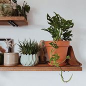 Mi proyecto del curso: Estilismo y decoración del hogar con plantas. Interactive Design, Decoration, Interior Decoration, DIY, Floral, Plant Design, and Spatial Design project by Cintia Gimenez - 07.05.2024