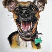 Meu projeto do curso: Retratos de pets a lápis de cor. Traditional illustration, and Naturalistic Illustration project by rcnobre - 07.05.2024
