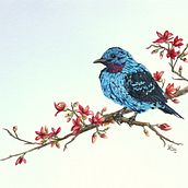 My project for course: Watercolor Painting: Naturalistic Birds and Wildlife Art. Fine Arts, Pencil Drawing, Drawing, Watercolor Painting, Realistic Drawing, and Naturalistic Illustration project by mwclay4 - 07.04.2024