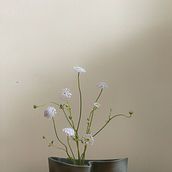 My project for course: Ikebana: flower arrangement for beginners. Interior Design, Decoration, Interior Decoration, Floral, and Plant Design project by maxma2006 - 07.07.2024