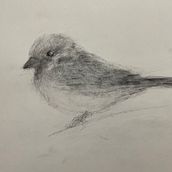 Charcoal Drawings. Artistic Drawing project by Bhanu Prakash - 07.07.2024