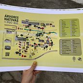 Meu projeto do curso: Criação de mapas ilustrados: transmita a essência da cidade. Traditional illustration, Infographics, Drawing, Digital Illustration, and Digital Painting project by Mariana Dias - 07.08.2024