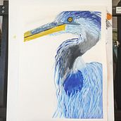 Great Blue Heron. Traditional illustration, and Painting project by wardbrett65 - 07.06.2024