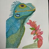 Iguana Romántica . Watercolor Painting, and Traditional illustration project by Mónica María Acosta Pulgarin - 07.09.2024