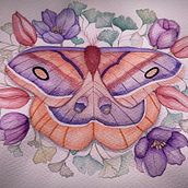 Maravillosa Mariposa . Watercolor Painting, and Botanical Illustration project by Mónica María Acosta Pulgarin - 07.09.2024