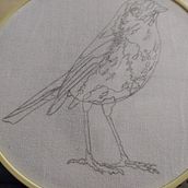 Pajarito. Embroider project by Mónica María Acosta Pulgarin - 07.09.2024