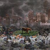 Mi proyecto del curso: Fotomontaje creativo para publicidad. Advertising, Photograph, Photo Retouching, Digital Photograph, Fine-Art Photograph, and Photomontage project by Cristina del Carmen Hernández González - 07.08.2024