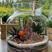 Terrario boca ancha . Arts, Crafts, and Decoration project by Lina Echavarria - 07.09.2024