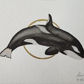 Mi proyecto del curso: Técnicas de ilustración naturalista: ballenas en acuarela Ein Projekt aus dem Bereich Bildende Künste, Malerei, Aquarellmalerei, Naturalistische Illustration und Traditionelle Illustration von sonia_lopez_4 - 09.07.2024