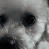 Mi proyecto del curso: Fotografía para principiantes: descubre tu cámara digital. Projekt z dziedziny Fotografia, Fotografia c, frowa,  Kompoz i cja w fotografii użytkownika Elika Rojas Mora - 08.07.2024