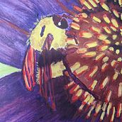 My project for course: Watercolor with Filigree and Metallic Details. Projekt z dziedziny Trad, c, jna ilustracja,  Malarstwo, Malowanie akwarelą, R, sunek botaniczn, Ilustracja naturalist, czna, Malarstwo dekorac i jne użytkownika Theresa Pollum - 12.07.2024