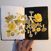 My project for course: Botanical Sketchbooking: A Meditative Approach. Sketching, Drawing, Watercolor Painting, Botanical Illustration, and Sketchbook project by olsay - 07.12.2024