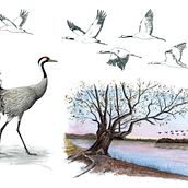 Mon projet du cours : Carnet de voyage à l’aquarelle. Un projet de Aquarelle, Carnet de croquis, Illustration traditionnelle et Illustration architecturale de Angélique Moreau - 13.07.2024