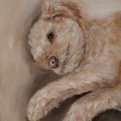 Mi proyecto del curso: Retrato realista de mascotas con pintura al óleo. Un proyecto de Bellas Artes, Pintura, Pintura al óleo e Ilustración naturalista				 de rdrivera - 30.07.2024