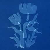 Reaching Transparency, a Cyanotype Project. Een project van Craft,  Beeldende kunst, Printen, DIY y  Analoge fotografie van baviguier - 14.07.2024