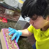 Mi proyecto del curso: Introducción a la elaboración de jabones artesanales creativos. Artesanato, e DIY projeto de Jen Melendez - 17.07.2024