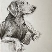 Mon projet du cours : Illustration d'animaux au fusain et à l'encre. Fine Arts, Drawing, Ink Illustration, and Naturalistic Illustration project by mariednt - 07.16.2024