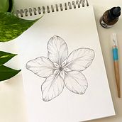My project for course: Illustrated Diary: Fill Your Sketchbook with Experiences. Traditional illustration, Sketching, Drawing, Sketchbook & Ink Illustration project by Karla Stone - 07.16.2024