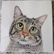 Meu projeto do curso: Retratos de pets a lápis de cor. Traditional illustration, and Naturalistic Illustration project by sandrookas - 07.16.2024